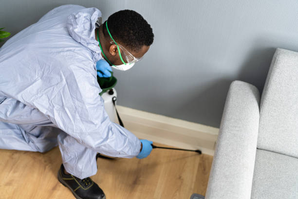 Best Pest Control for Multi-Family Homes  in Bling, AR